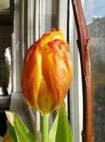 Без названия