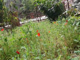 Весенний огород.