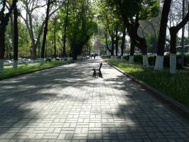 Одинокая скамейка возле театра Навои.