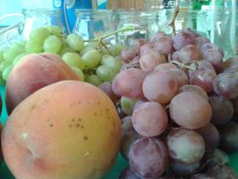 Все это изобилие растет под Ташкентом.