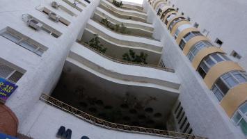 Дом, в котором растут деревья.