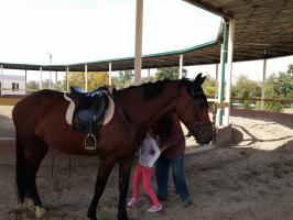 Можно покататься на лошадке. Парк Абдуллы Кадыри возле Ганги.