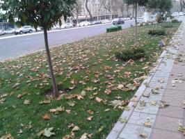 Это не осень.