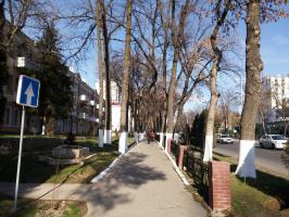 По пути к старой консерватории,