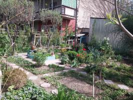 Целый японский сад. Улица Саперная.