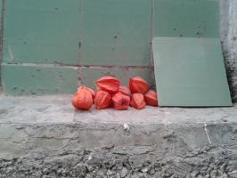 Физалис на аквамарине