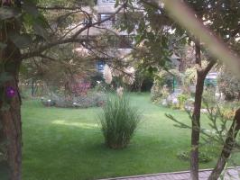 Почти японский сад. Рядом с Анхором.                                   