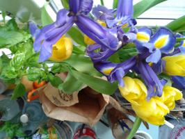 Цветовое пятно