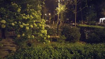 Ночной двор.                                                           