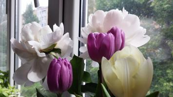 Красивых цветов должно быть