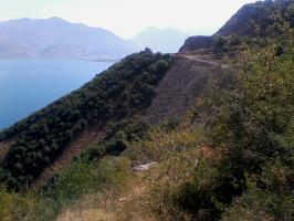 Нет описания