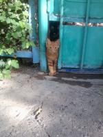 Строгая мамаша не позволяет вольностей.