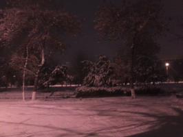 Зима возле жемчуга.