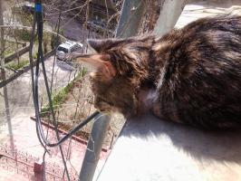 Никого не видать. Скучно.