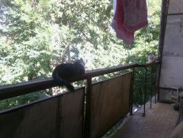 Посиделки на верхотуре. Четвертый этаж.