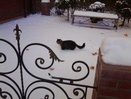 Снега по пояс.