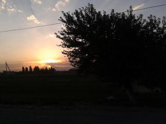 Рассвет за городом