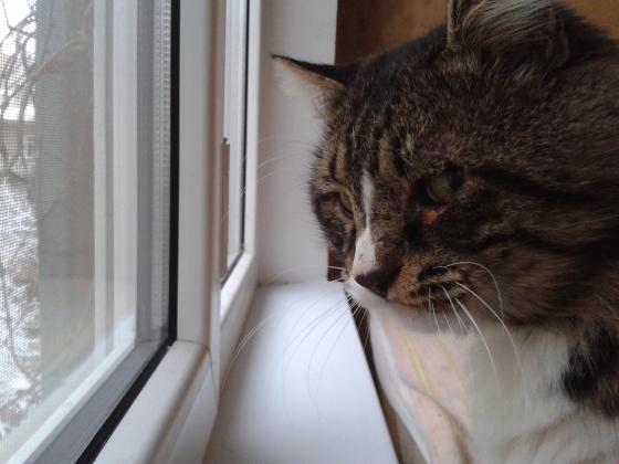 У каждого свой взгляд в окно.