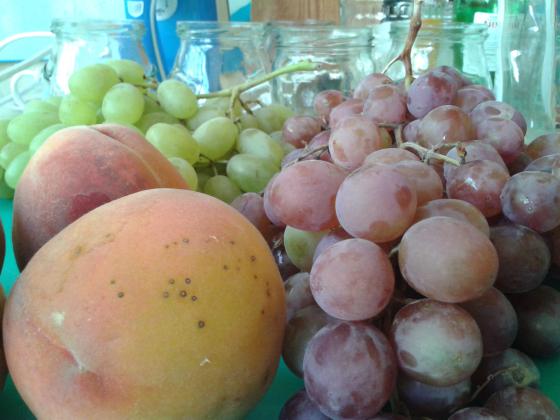 Все это изобилие растет под Ташкентом.