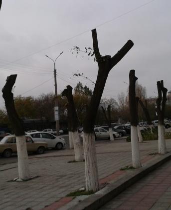 Somebody tells that crone can be formed by that way.