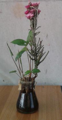 Странная фотография экзотической колючки