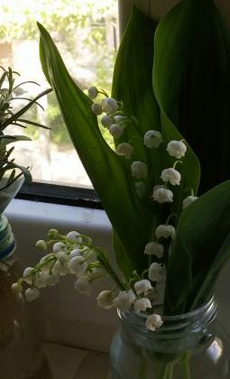 Ландыши из "Корзинки"