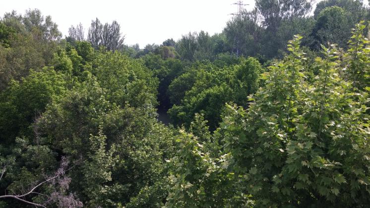 Анхор. Вид сверху.