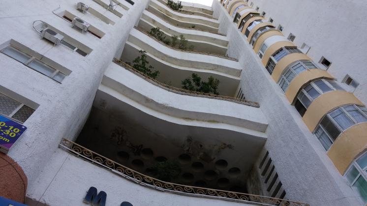 Дом, в котором растут деревья.