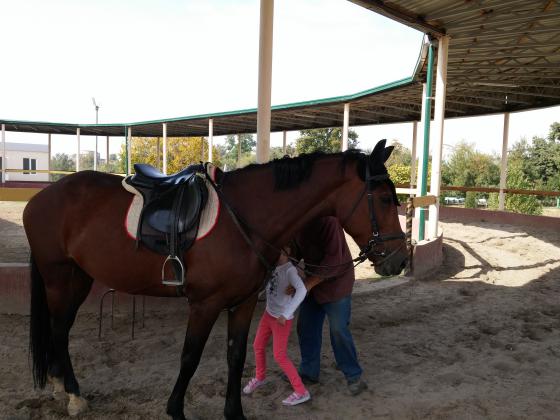 Можно покататься на лошадке. Парк Абдуллы Кадыри возле Ганги.