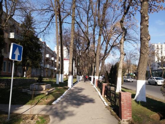 По пути к старой консерватории,