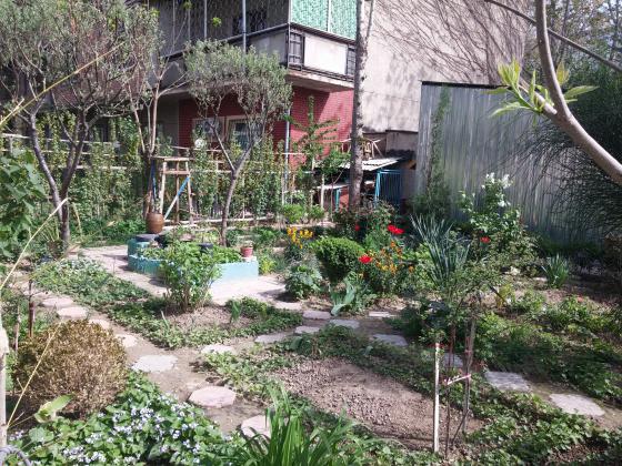 Целый японский сад. Улица Саперная.