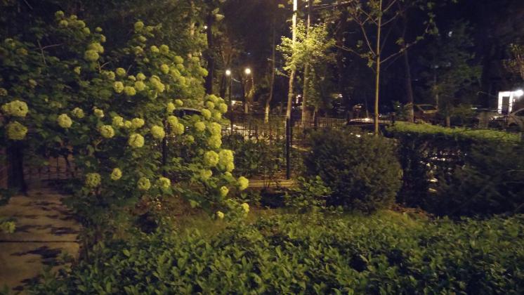 Ночной двор.                                                           