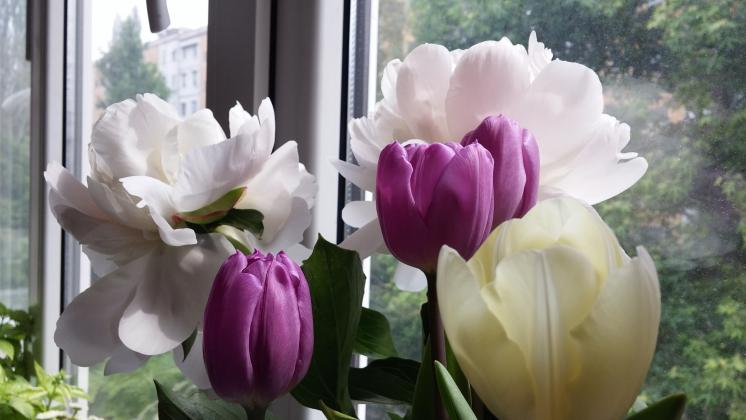 Красивых цветов должно быть