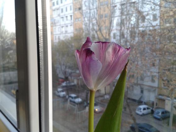 "Well, when it was ..." said Glukhov, "Barons, do you know they are getting old?" "The barons also fight," Vecherovsky said. "Not so long ago it was"