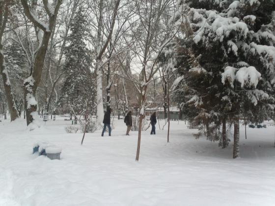 Near "Golubie cupola" caffee. In search of warm.