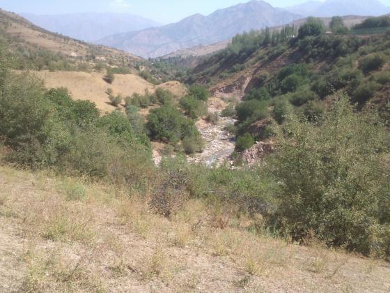 Сай. Горная речка.