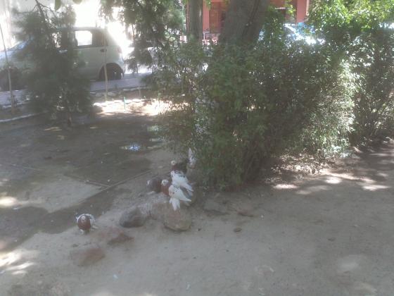 Нет описания