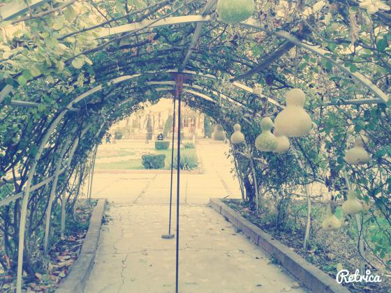 Аллея с тыквами возле кинотеатра Панорама.