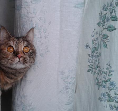 Сейчас будет кого-то ловить.