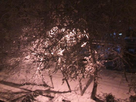 Зимний двор.