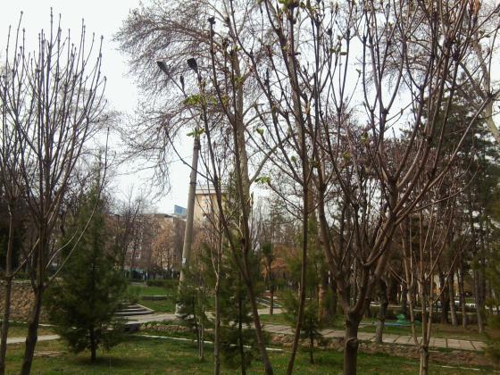 Нет описания