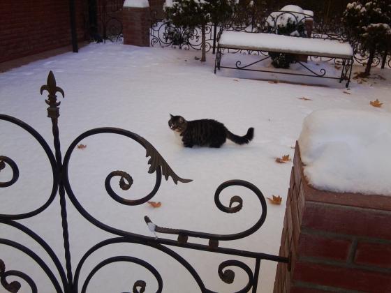 Снега по пояс.