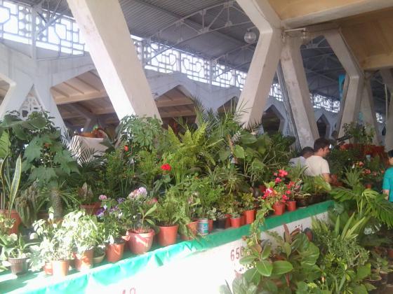 Цветочный ряд на Алайском.